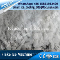 FOCUSUN 30 tons containerized flake ice machine for fishing/meat/seaweed